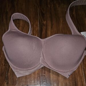 Essential Bodywear Lindsey Sports Bra